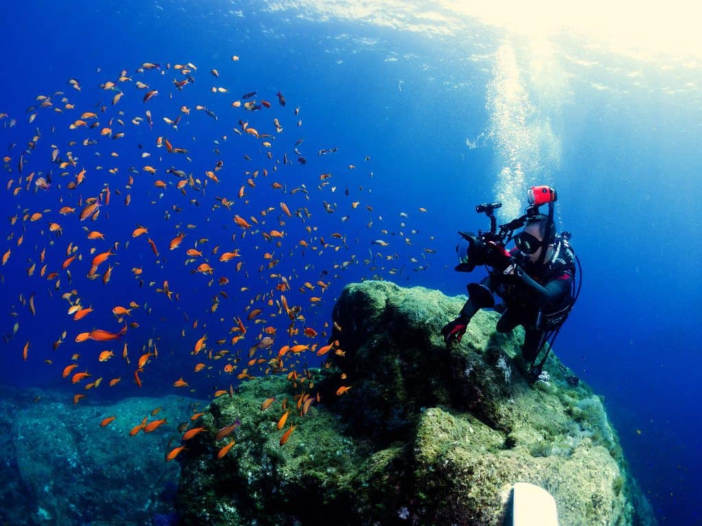 underwater photographer Underwater Photography Facilities