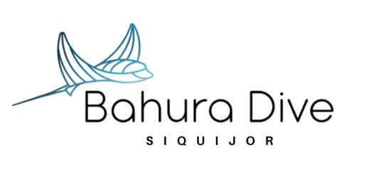 bahura dive logo 1 Contact Us