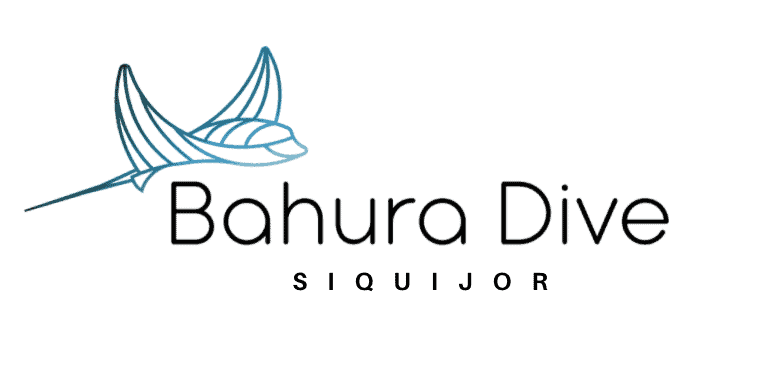 bahura dive logo 1 Book Diving in Siquijor