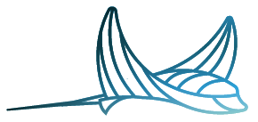 bahura-dive-siquijor-logo-ray-gradient