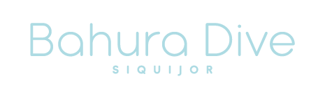 bahura-dive-siquijor-logo-text-light-blue