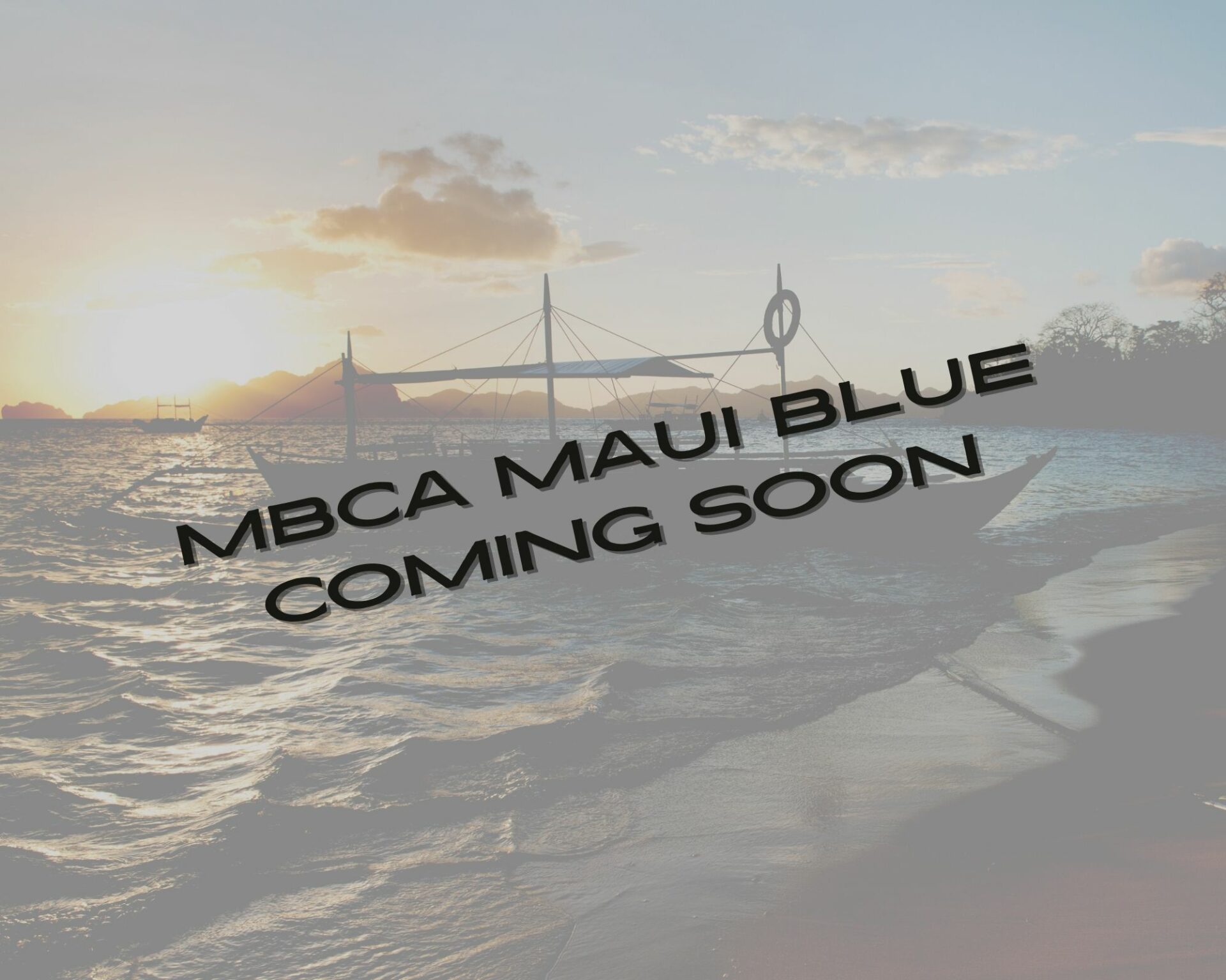 maui blue coming soon Underwater Photography Facilities