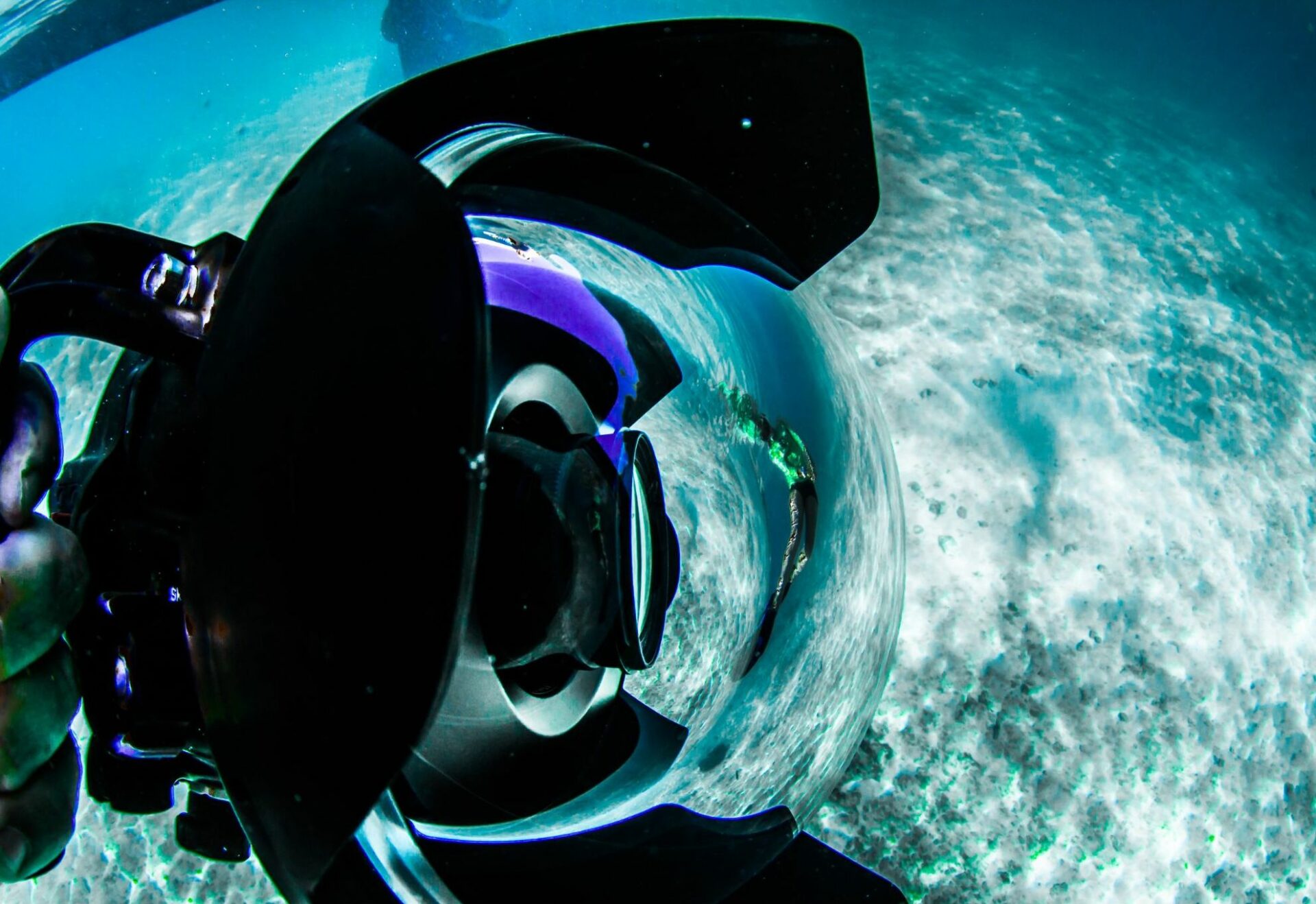 wide angle lens Underwater Photography Facilities