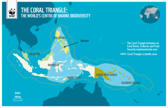 coral triangle map